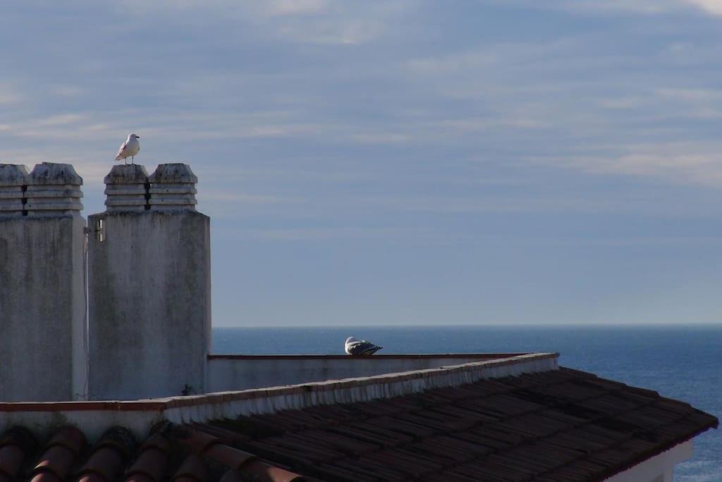 With Sea View & Pool, Garden, Dishwasher Appartement