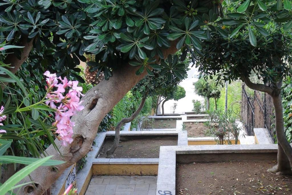 With Sea View & Pool, Garden, Dishwasher Appartement